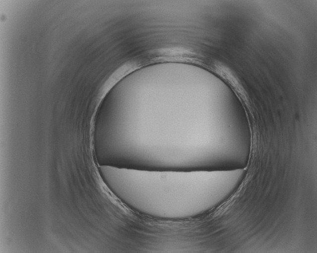 X0000086751386200704130747