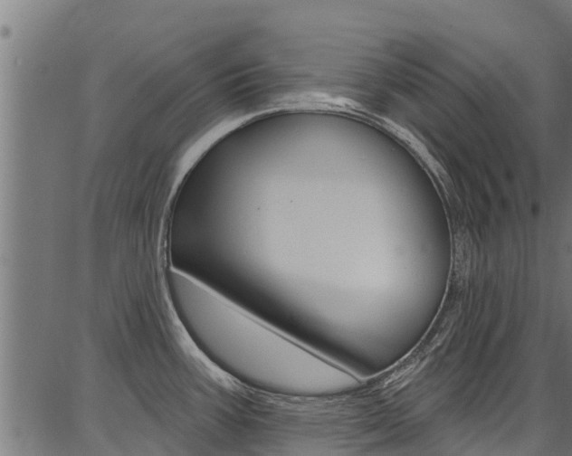 X0000086751387200704130747