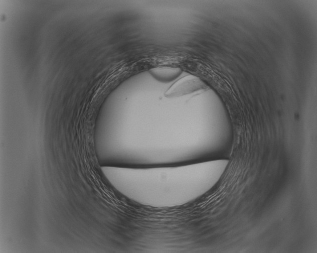 X0000086751393200704130746