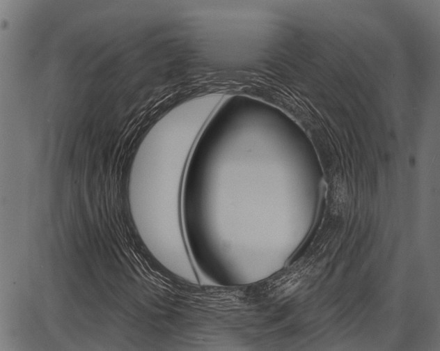 X0000086751394200704130746