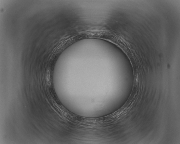 X0000086751396200704130746