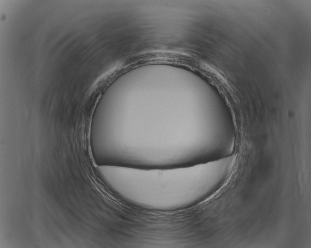 X0000086751403200704130746