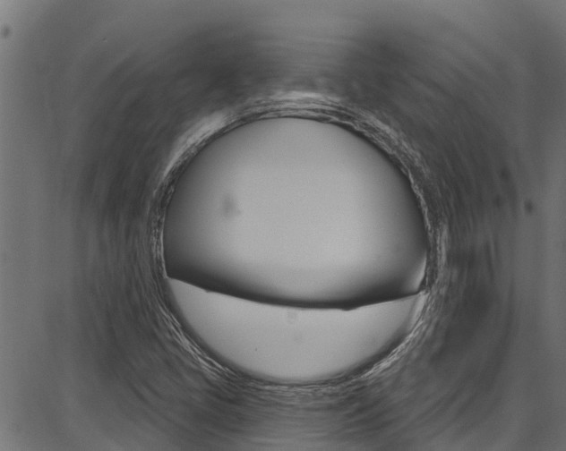 X0000086751405200704130746