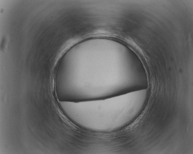 X0000086751413200704130746