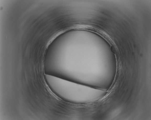 X0000086751417200704130746