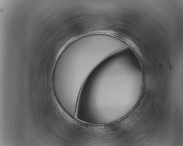 X0000086751428200704130747