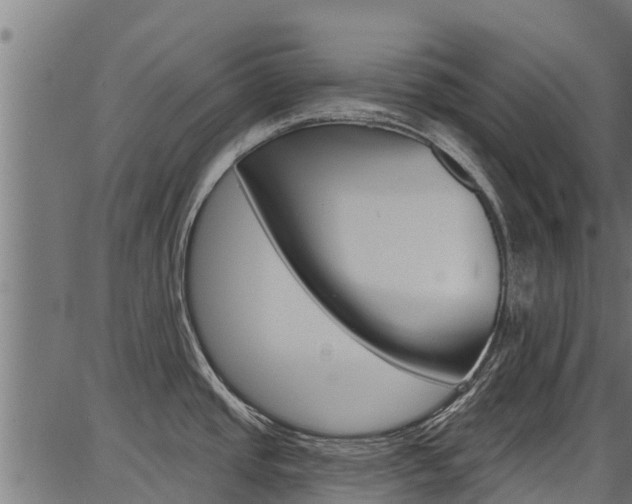 X0000086751437200704130747