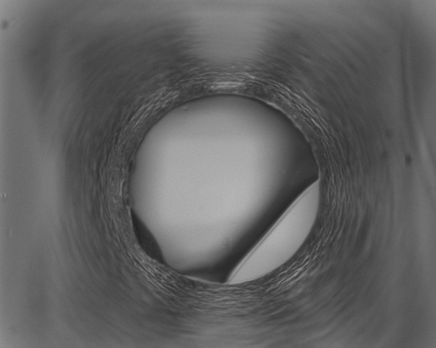 X0000086751441200704130746