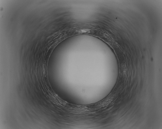 X0000086751442200704130746