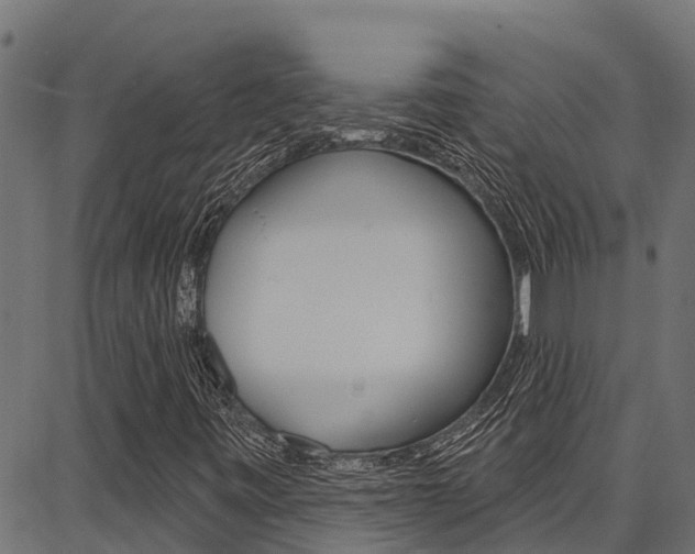 X0000086751443200704130746