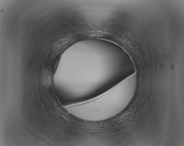 X0000086751444200704130746