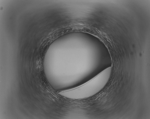 X0000086751445200704130746
