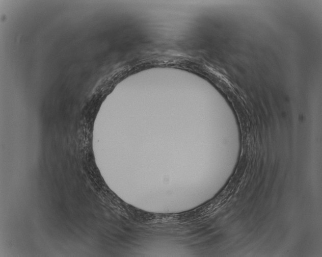 X0000086751447200704130746