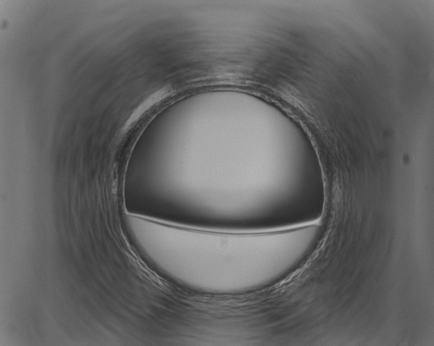 X0000086751450200704130746