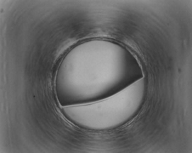 X0000086751452200704130746