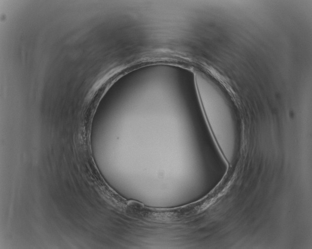 X0000086751453200704130746