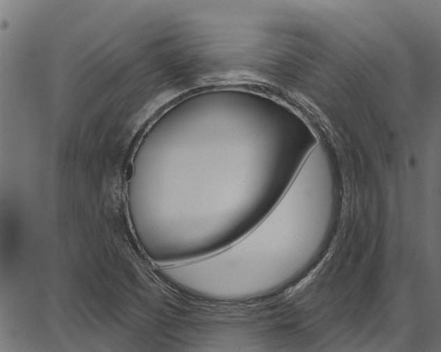 X0000086751457200704130746
