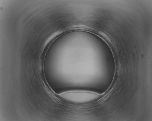 X0000086751458200704130746