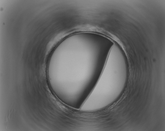 X0000086751464200704130746