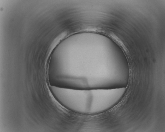 X0000086751475200704130745
