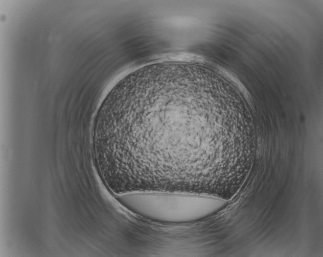 X0000086751483200704130745