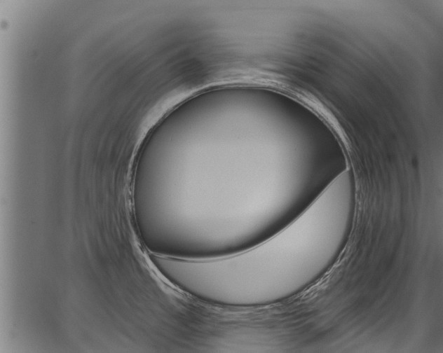 X0000086751485200704130745