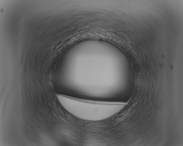X0000086751490200704130744