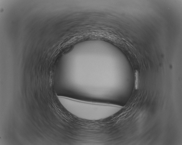 X0000086751491200704130744