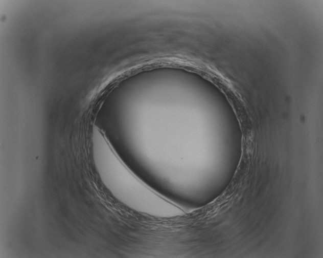 X0000086751496200704130745