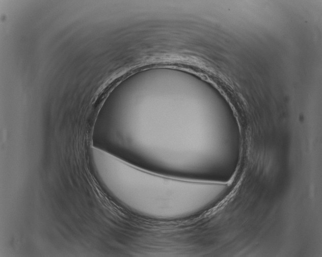 X0000086751497200704130745