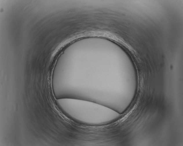 X0000086751498200704130745