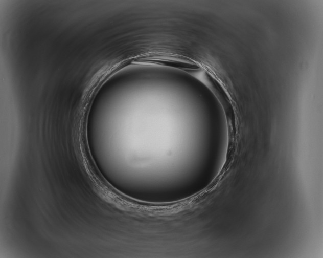 X0000086750001200704131201