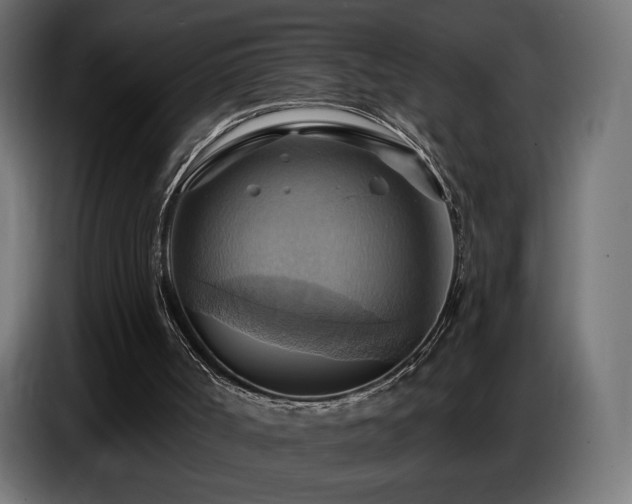 X0000086750002200704131201