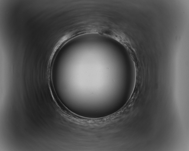 X0000086750003200704131201
