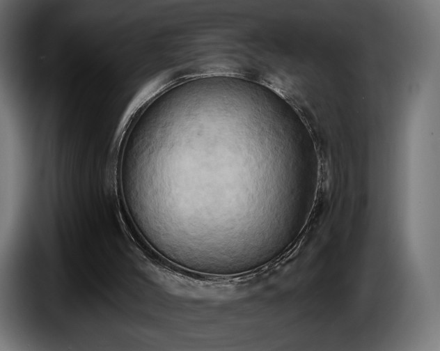 X0000086750004200704131201