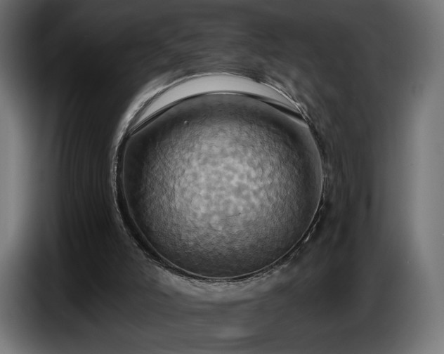 X0000086750006200704131201
