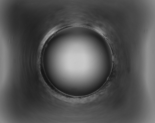 X0000086750007200704131201
