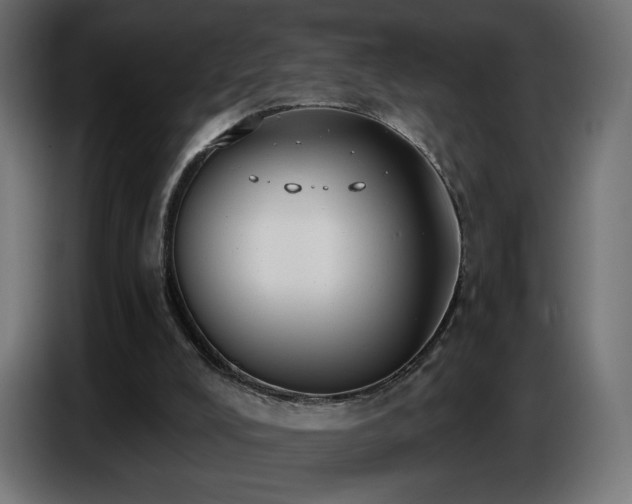 X0000086750008200704131201