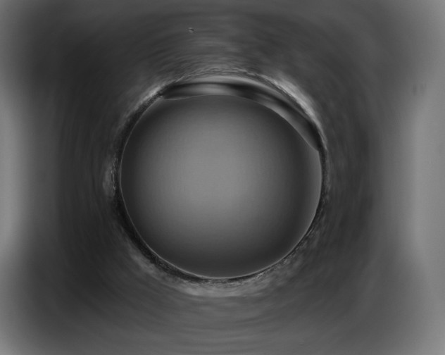 X0000086750009200704131201