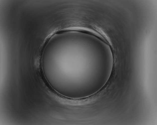 X0000086750010200704131201