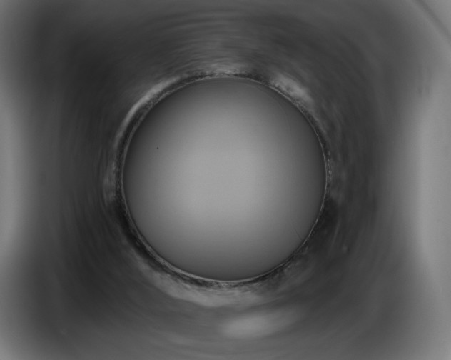 X0000086750012200704131201