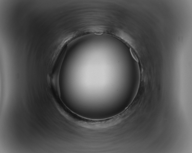 X0000086750013200704131201
