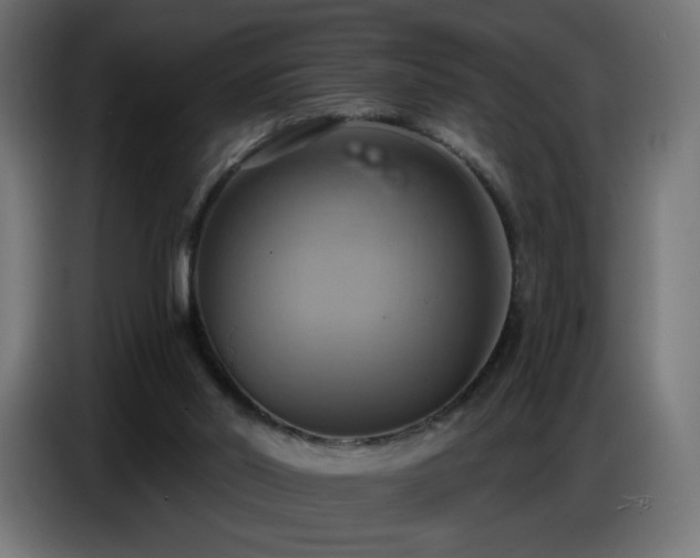 X0000086750014200704131201