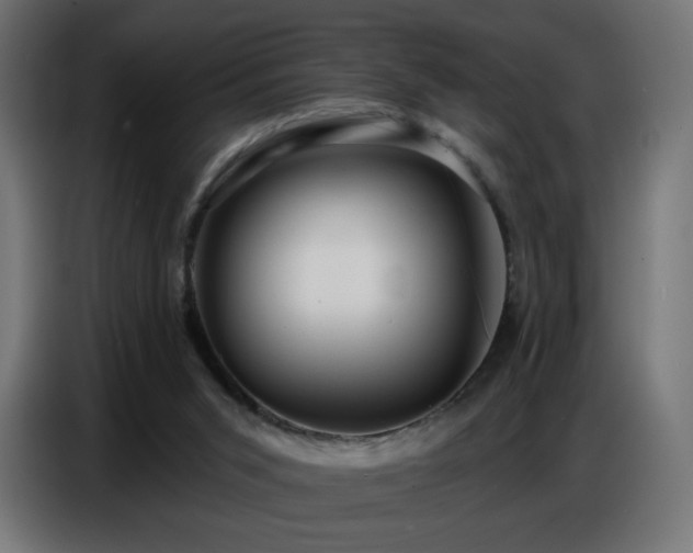 X0000086750015200704131201