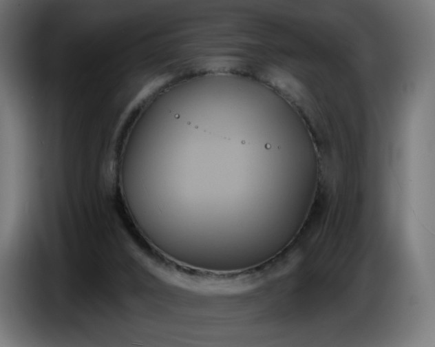 X0000086750016200704131201