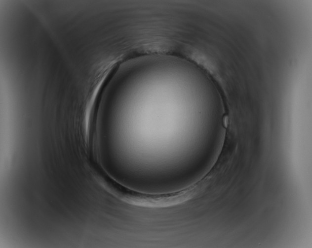 X0000086750017200704131201