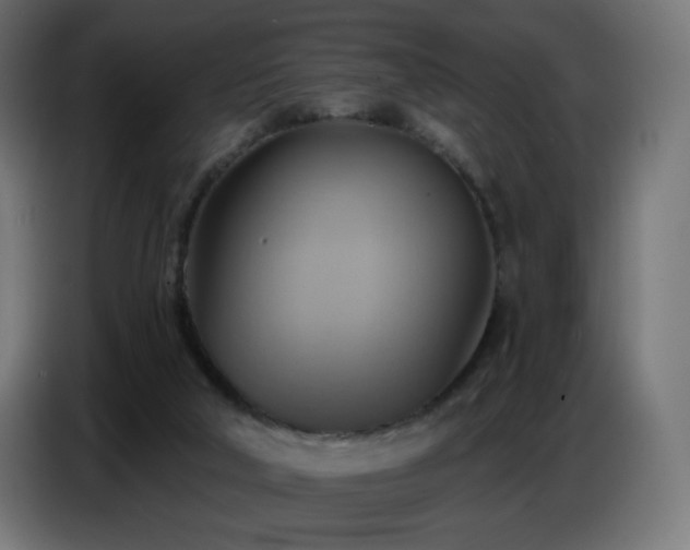 X0000086750018200704131201