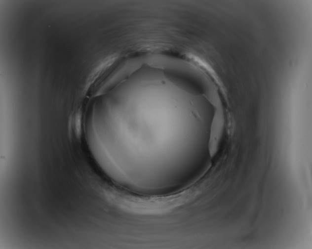 X0000086750019200704131201
