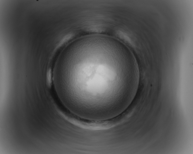 X0000086750020200704131201
