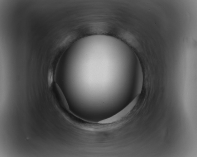 X0000086750021200704131201